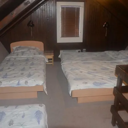 Apartmajska Hisa Lena Sport * Zreče