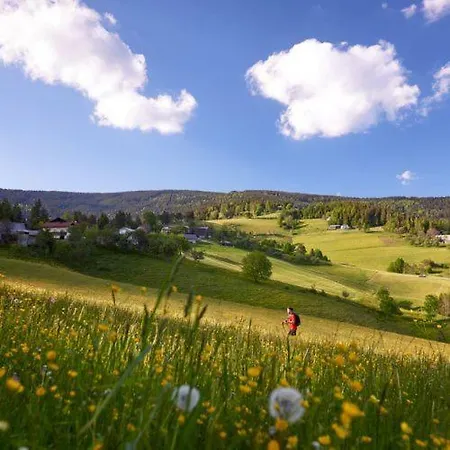 Apartmajska Hisa Lena Sport Apartmán
